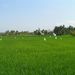 2005_indonesiatrip_333_2